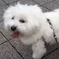 今日は忙しい一日！…
