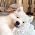 過去の自分にヤキモ…