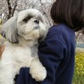 １年で見違えるよう…