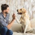 犬と『信頼関係を築…
