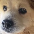 足を引きずって歩く…