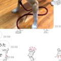 突然、母からのLINE…