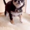 『生後100日の極小赤…