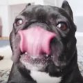 ビッグなおやつを一…