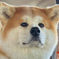 車の中で『もしかし…