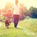 犬が尊敬する人にだ…