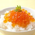 犬はイクラを食べて…