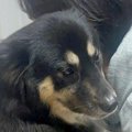 実家のおじいちゃん…