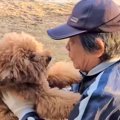 いつも犬と遊んでく…