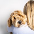 犬が飼い主に『感謝…