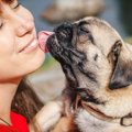 犬があなたのことを…