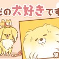 ただの犬好きです。…