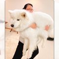 どこかに持っていか…