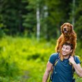 犬を『おんぶ』する…