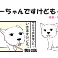 ちーちゃんですけど…