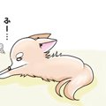かわうそちわわ。（3…