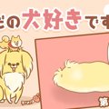 ただの犬好きです。…