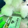 遊園地の『コーヒー…