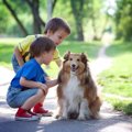 犬が子供とすれ違う…
