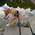 「ズリッ！」足を踏…