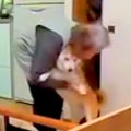 おばあちゃんと犬が…