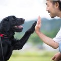 『犬と心を通じ合わ…