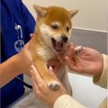 病院で『はじめての…