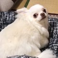 夜、家族みんなと一…
