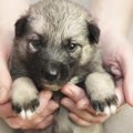 ちゃんと理由がある…