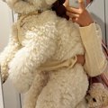 『小型犬を飼ったは…