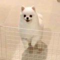 大好きなパパと4日間…