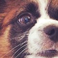 雷音などの不安から…