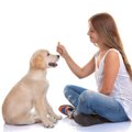 犬の飼い主が必ず勉…