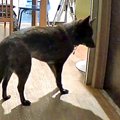 毎日一緒にいたママ…