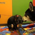 同日に近い場所の似…
