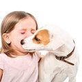 犬が飼い主に『気を…