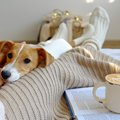 こんな経験ない？犬…