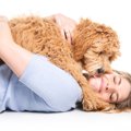 あるある？愛犬のこ…