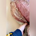 朝、犬がなかなか起…