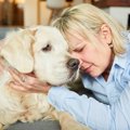 犬に『飼い主のスト…