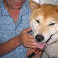 保健所で命の期限が…