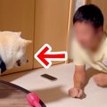 ストレッチしていた…