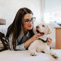 犬が人間の「うつ病…