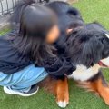 超大型犬がいる家に…