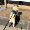 モスバーガーの前を…