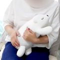 犬が抱っこを拒否す…