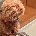 なぜか『スプーン』…