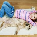犬にしない方がいい3…