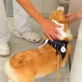 病院の診察室に自ら…