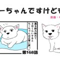 ちーちゃんですけど…